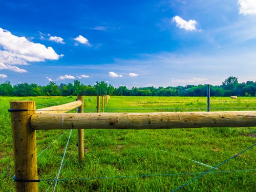 A wooden fence lines a grassy field under a bright blue sky with fluffy clouds and trees in the background.
