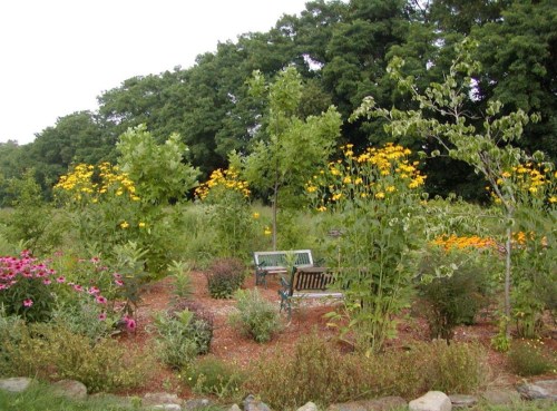 A vibrant garden with colorful flowers, tall plants, and a bench surrounded by lush greenery.