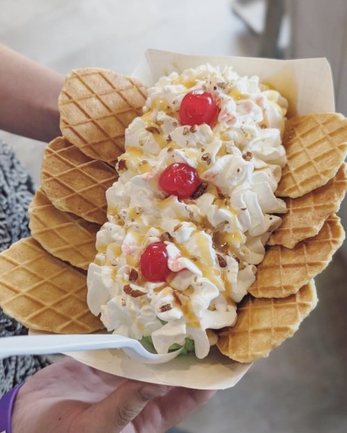 A hand holding a dessert bowl filled with whipped cream, cherries, and waffle cones.