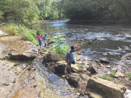 Three people explore a rocky riverbank surrounded by trees and greenery on a sunny day.