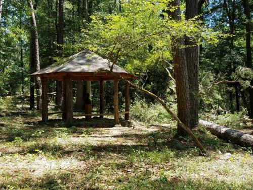 A wooden gazebo in a forested area, surrounded by trees and greenery, with sunlight filtering through the leaves.