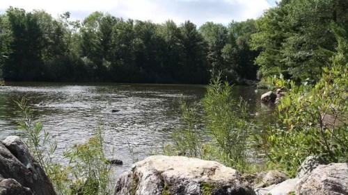 A serene river scene surrounded by lush greenery and rocky banks under a partly cloudy sky.