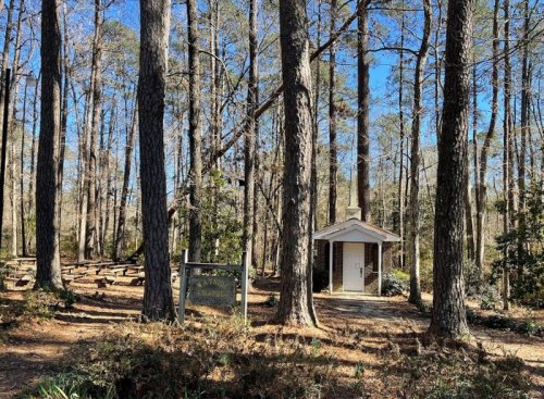 A small white building nestled among tall pine trees, with a sign nearby and a clear blue sky above.