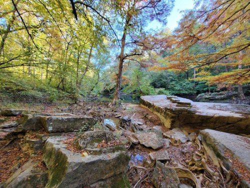 A serene forest scene with colorful autumn leaves, rocky terrain, and a calm stream in the background.