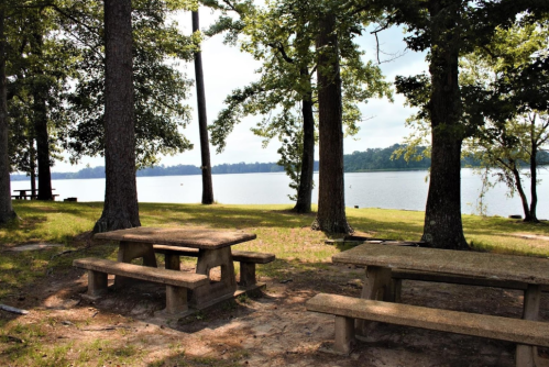 A serene lakeside scene with picnic tables surrounded by trees and calm water in the background.