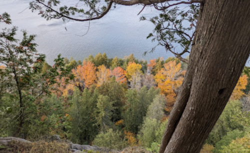 A view from a cliff overlooking a lake, surrounded by trees displaying vibrant autumn colors.
