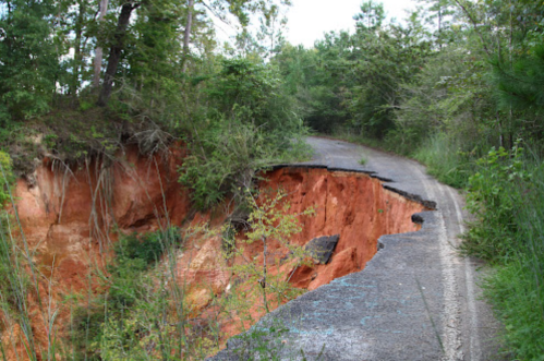A cracked road with a deep erosion on one side, surrounded by trees and greenery.