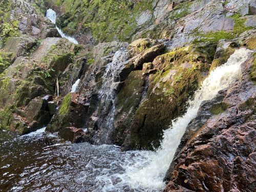 A serene waterfall cascading over moss-covered rocks into a dark pool below, surrounded by lush greenery.