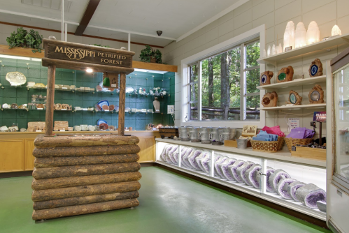 Display of gemstones and petrified wood in a shop at the Mississippi Petrified Forest, with wooden counter and shelves.