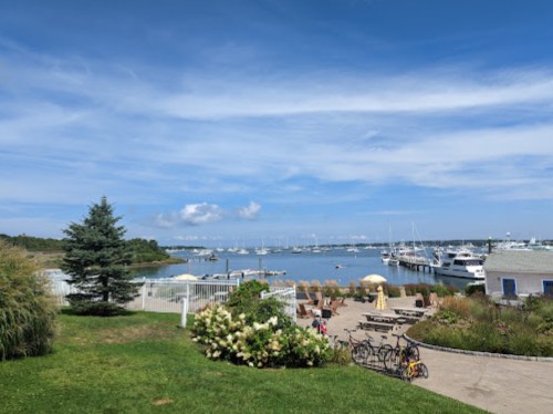 A scenic view of a marina with boats, blue sky, and green grass, featuring a few people and bicycles nearby.