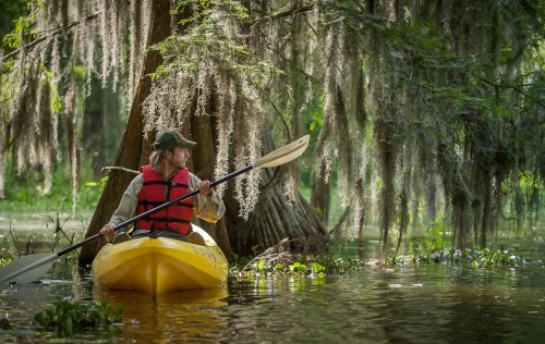 A person in a yellow kayak paddles through a serene, moss-draped swamp surrounded by lush greenery.