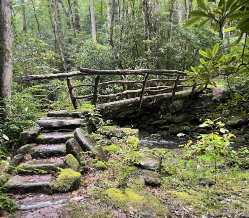 A rustic wooden bridge over a stream, surrounded by lush greenery and moss-covered stones in a serene forest setting.