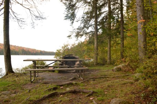 A picnic area by a lake, featuring a table and grill surrounded by trees and autumn foliage.