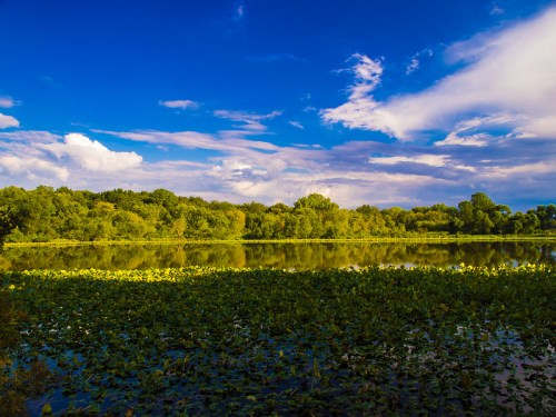 A serene lake surrounded by lush greenery and vibrant blue skies with scattered clouds.