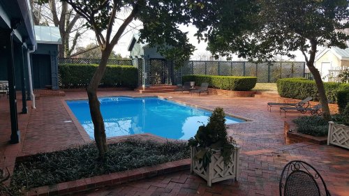 A serene backyard with a blue swimming pool surrounded by brick paving, greenery, and lounge chairs.