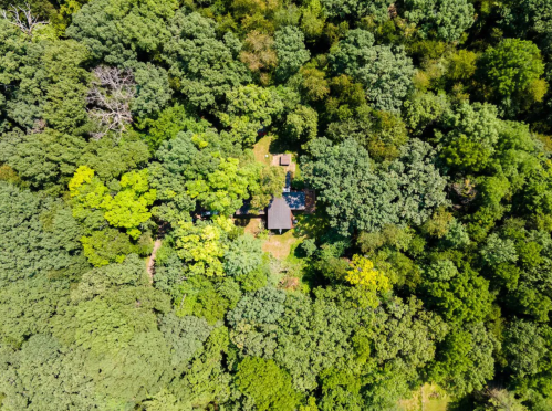 Aerial view of a small cabin surrounded by dense green trees and foliage.