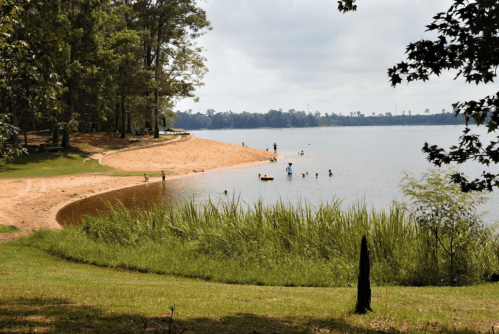 A sandy beach by a lake, with people swimming and playing in the water, surrounded by trees and greenery.