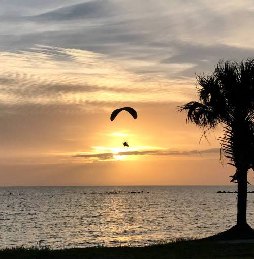A silhouette of a paraglider against a vibrant sunset over the ocean, with a palm tree in the foreground.