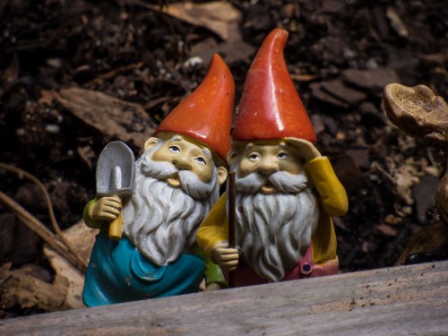 Two colorful garden gnomes with pointed hats, one holding a shovel, standing among brown mulch and leaves.