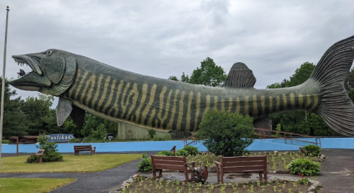 A large, colorful statue of a fish with stripes, surrounded by greenery and benches in a park setting.