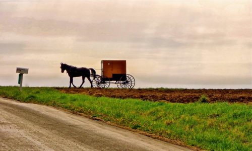 A horse-drawn buggy travels along a rural road beside a mailbox, with fields in the background under a cloudy sky.
