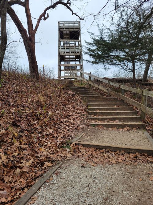 A wooden observation tower at the top of a staircase, surrounded by trees and fallen leaves on a cloudy day.