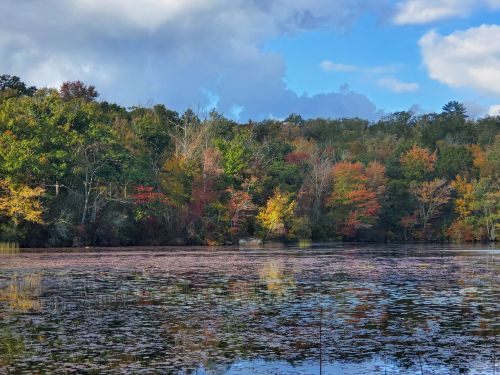 A serene lake surrounded by trees displaying vibrant autumn colors under a partly cloudy sky.