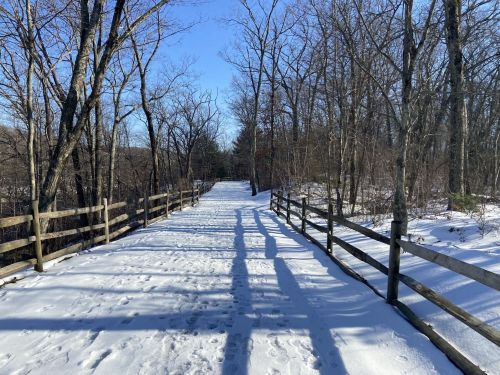 A snowy path lined with wooden fences, surrounded by bare trees under a clear blue sky.