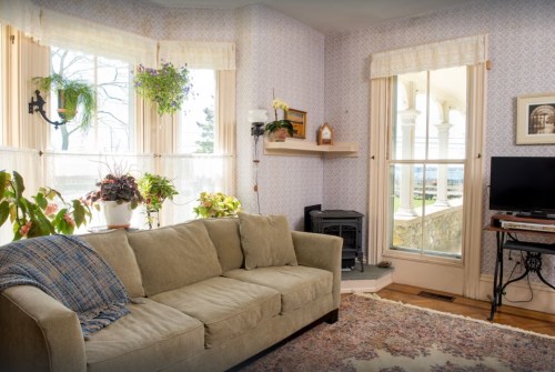 Cozy living room with a beige couch, plants, a small fireplace, and large windows letting in natural light.