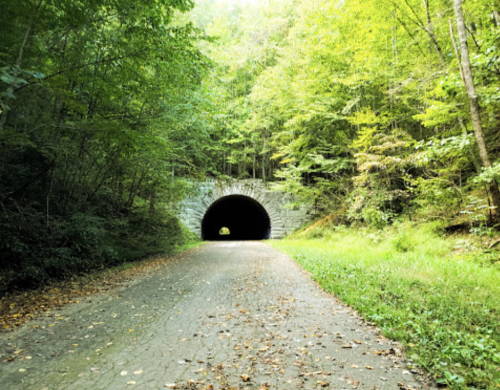 A tree-lined path leads to a dark tunnel surrounded by lush greenery.