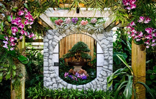 A circular stone frame adorned with orchids, showcasing a bonsai tree and lush greenery in a vibrant garden setting.