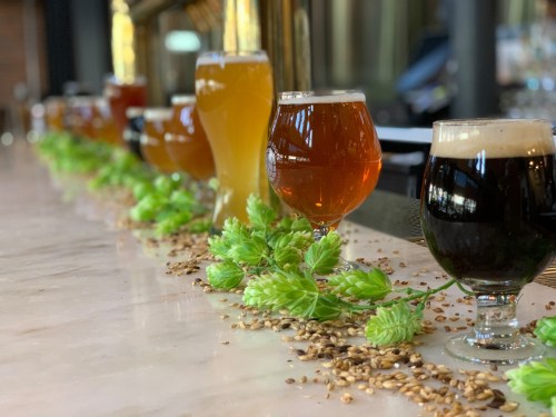 A variety of craft beers in glasses lined up on a bar, with hops and grains scattered on the counter.