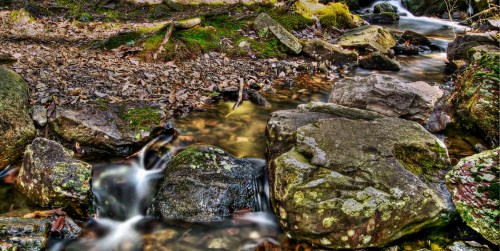 A serene stream flows over smooth rocks, surrounded by moss and fallen leaves in a tranquil natural setting.