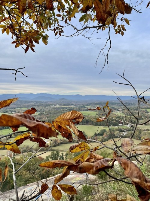 A scenic view of rolling hills and mountains, framed by autumn leaves and branches against a cloudy sky.