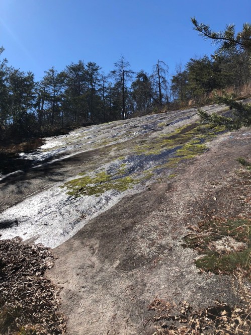 A rocky slope covered in moss, with trees in the background under a clear blue sky.