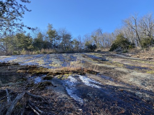A rocky hillside with patches of moss and sparse trees under a clear blue sky.