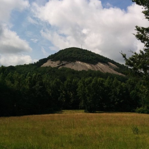 A green hillside with a gentle slope, partially covered in trees, under a cloudy blue sky.