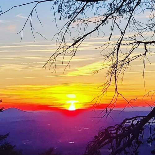 A vibrant sunset over a mountainous landscape, with silhouetted branches in the foreground.