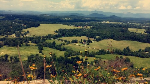 A scenic view of rolling green hills and mountains under a cloudy sky, with wildflowers in the foreground.