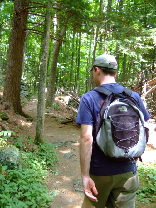 A person with a backpack walks along a forest trail surrounded by trees and greenery.