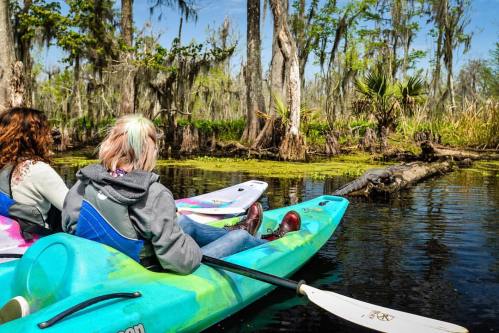 Two people kayak through a serene, tree-lined waterway, surrounded by lush greenery and a log in the water.