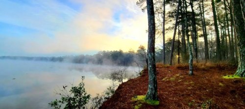 A serene lakeside scene at dawn, with mist rising over the water and trees lining the shore.