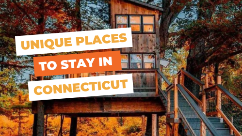A treehouse surrounded by autumn foliage, with text overlay: "Unique Places to Stay in Connecticut."
