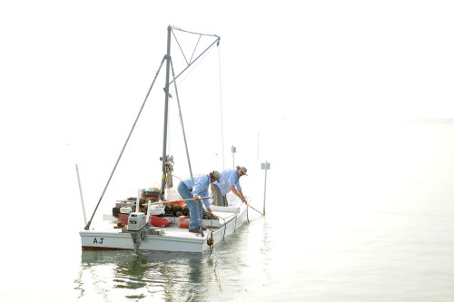 Two fishermen on a small boat, working in calm waters under a bright, overcast sky.