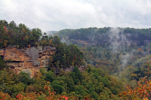 A misty landscape featuring steep cliffs surrounded by lush green trees and autumn foliage.