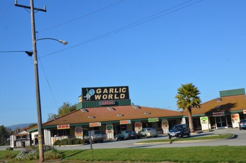 A storefront sign for "Garlic World" with a clear blue sky and palm trees in the background. Cars parked outside.
