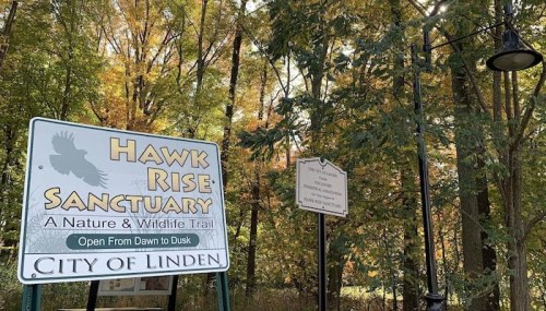 Sign for Hawk Rise Sanctuary, a nature and wildlife trail in Linden, surrounded by colorful autumn trees.