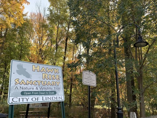 Sign for Hawk Rise Sanctuary in a wooded area with autumn foliage, indicating it's open from dawn to dusk.