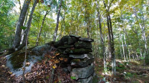 A stone structure surrounded by trees and foliage in a forested area, with autumn leaves scattered on the ground.