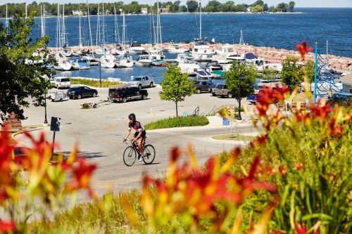 A cyclist rides past vibrant flowers near a marina with sailboats and a calm lake in the background.